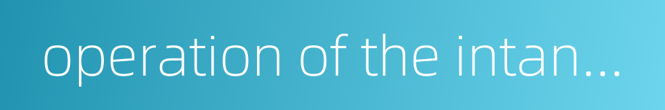 operation of the intangible assets的同义词