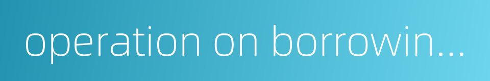 operation on borrowings的同义词