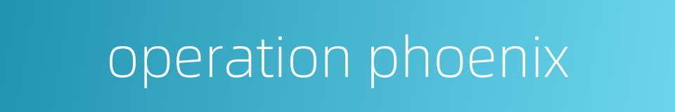 operation phoenix的同义词