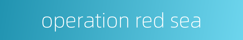 operation red sea的同义词