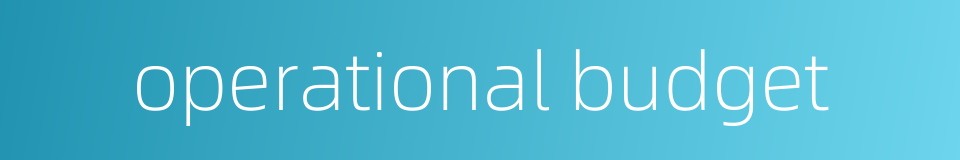 operational budget的同义词