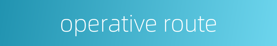 operative route的同义词