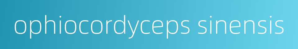 ophiocordyceps sinensis的同义词