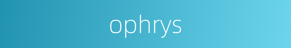 ophrys的同义词