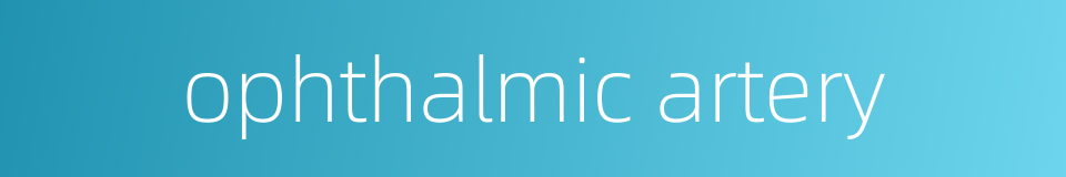 ophthalmic artery的同义词