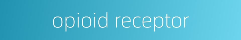 opioid receptor的同义词