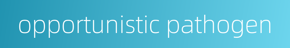 opportunistic pathogen的同义词