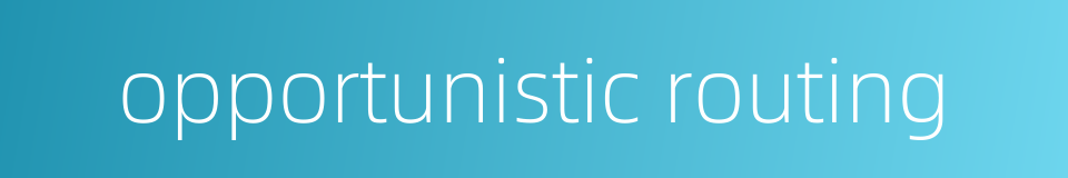 opportunistic routing的同义词