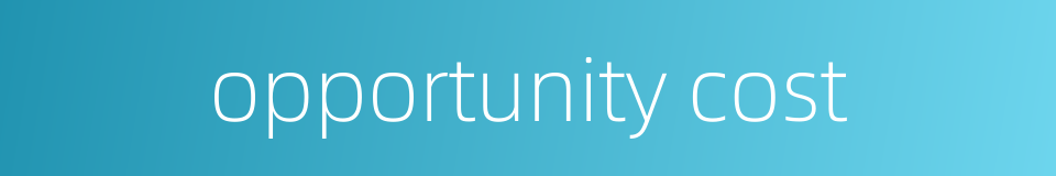 opportunity cost的同义词
