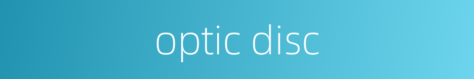 optic disc的同义词