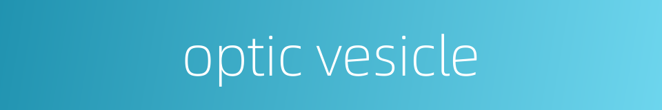 optic vesicle的同义词