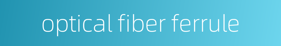 optical fiber ferrule的同义词