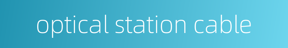 optical station cable的同义词