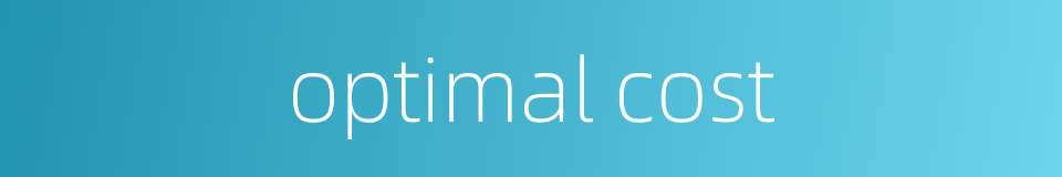 optimal cost的同义词