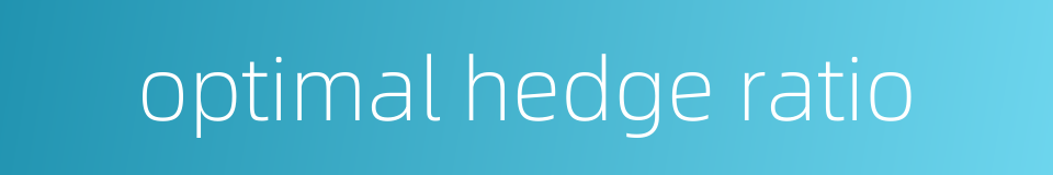 optimal hedge ratio的同义词