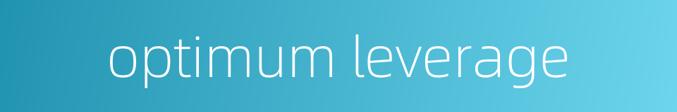 optimum leverage的同义词