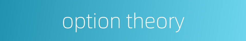 option theory的同义词