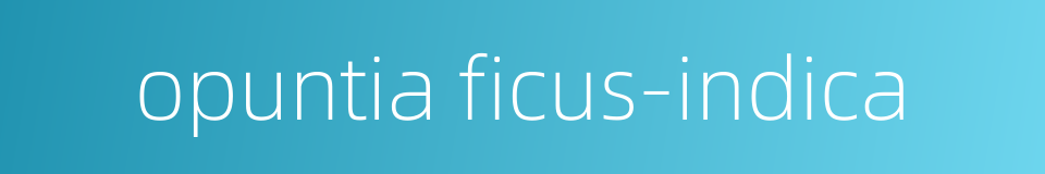 opuntia ficus-indica的同义词
