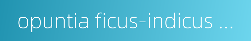 opuntia ficus-indicus mill的同义词