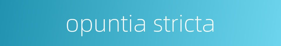 opuntia stricta的同义词