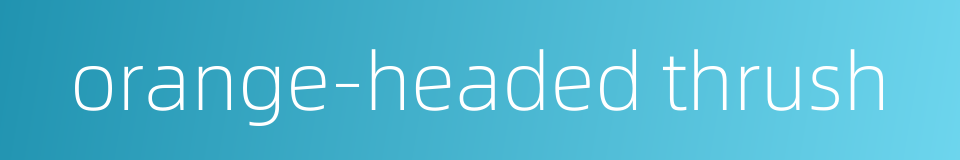 orange-headed thrush的同义词