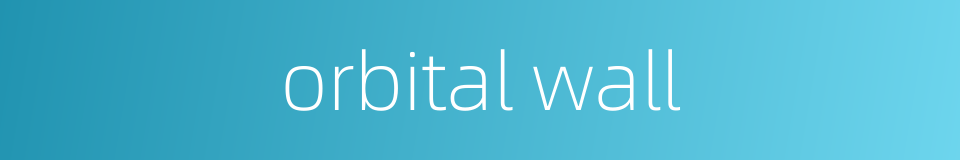 orbital wall的同义词