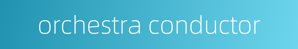 orchestra conductor的同义词