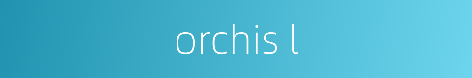 orchis l的同义词