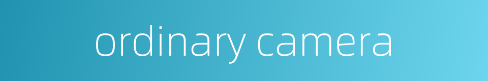 ordinary camera的同义词