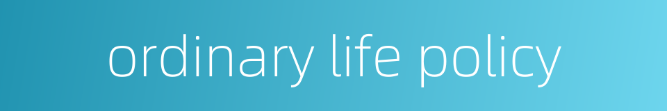 ordinary life policy的同义词