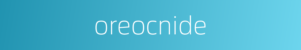 oreocnide的同义词