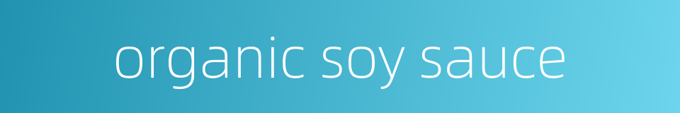 organic soy sauce的同义词