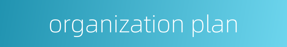 organization plan的同义词