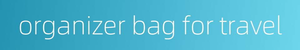 organizer bag for travel的同义词