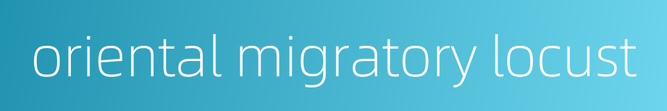 oriental migratory locust的同义词