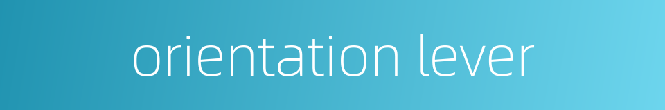 orientation lever的同义词