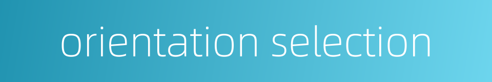 orientation selection的同义词