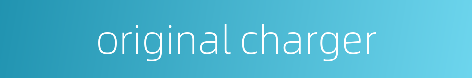 original charger的同义词