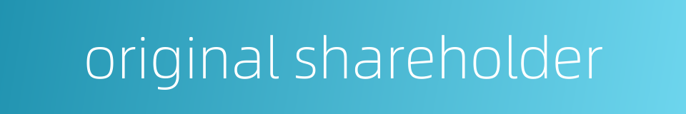original shareholder的同义词