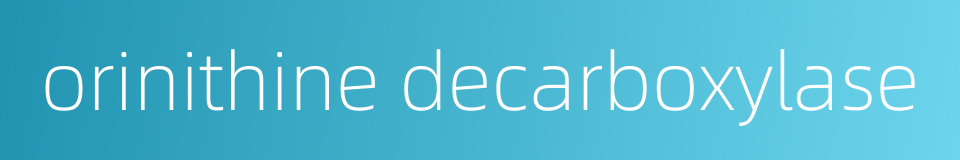 orinithine decarboxylase的同义词
