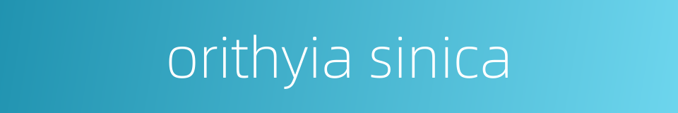 orithyia sinica的同义词