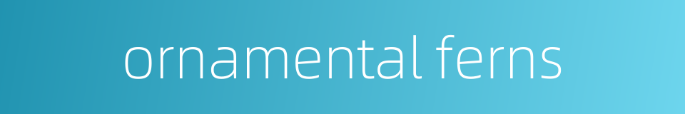 ornamental ferns的同义词