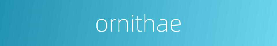 ornithae的同义词