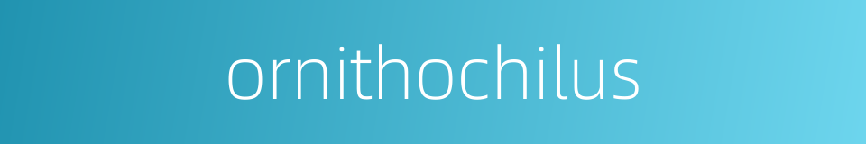 ornithochilus的同义词