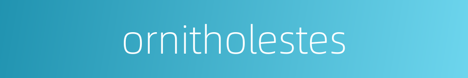 ornitholestes的同义词