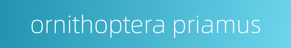 ornithoptera priamus的同义词
