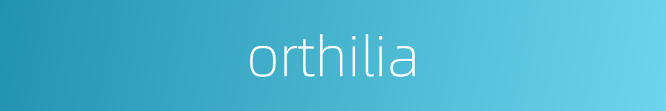 orthilia的同义词