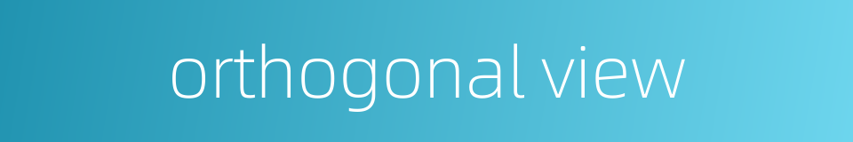 orthogonal view的同义词