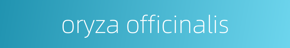 oryza officinalis的同义词