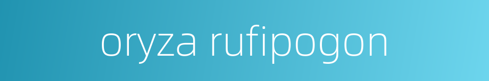 oryza rufipogon的同义词